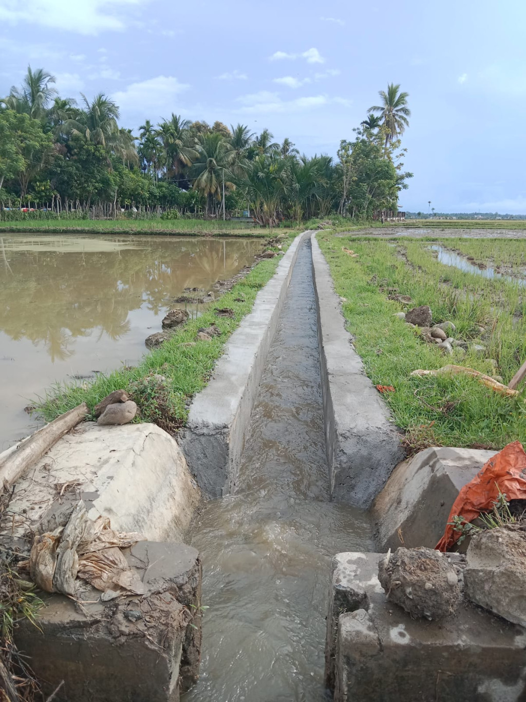 Saluran Irigasi Persawahan